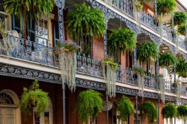 Colores de New Orleans 2025