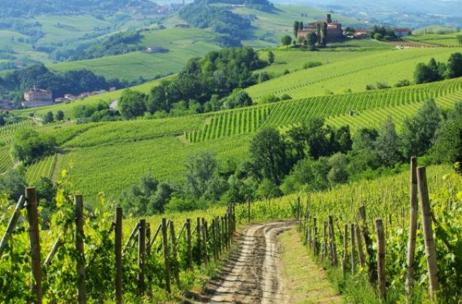 EXPERIENCIA: El Veneto 1, Enogastronomia, Arte y Naturaleza 2025