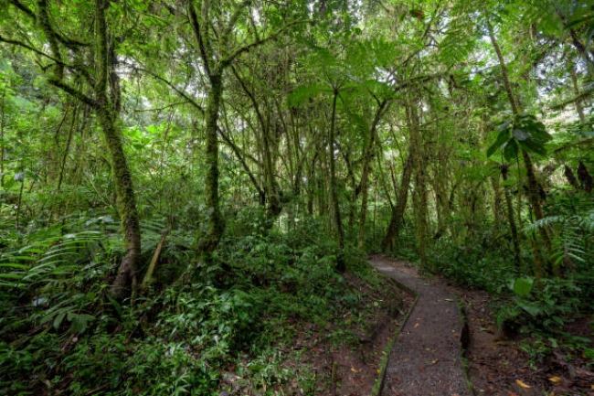 Costa Rica total 2025