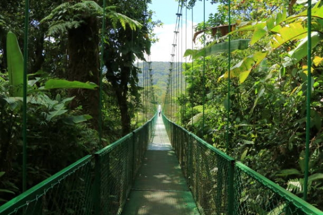Costa Rica; Chocolate, Cafe y Playa 2025