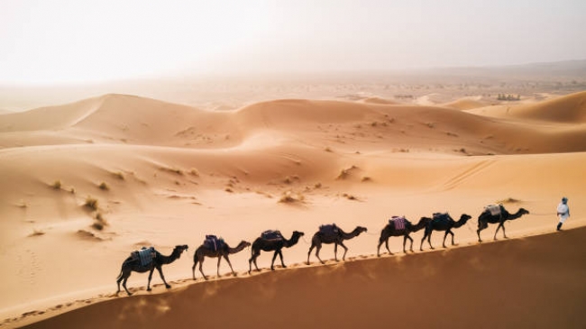 GRAN CLASE: Marrakech - Desierto de Agafay (desde Marrakech) 2025 - 2026