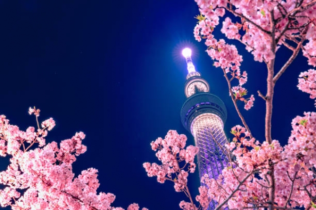 Japn A La Carta Ruta 1 - 2025