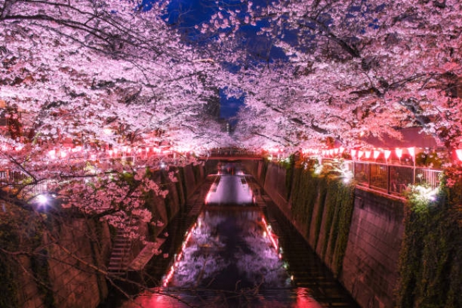 Japn A La Carta Ruta 2 - 2025