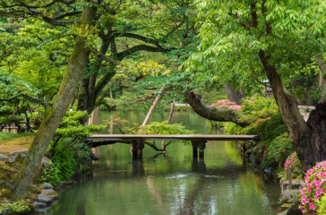 Japn Fascinante 2025