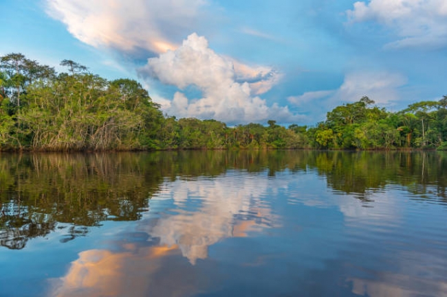 Amazonas a tu alcance 2025