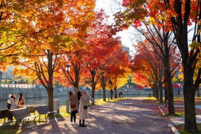 Canada Magnifico con New York 2025 -2026