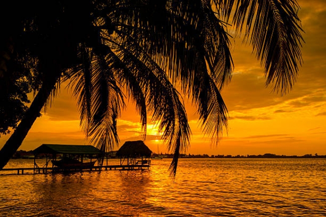 Panama y bocas del Toro 2025
