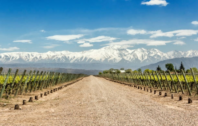 Full Experience Mendoza 2025