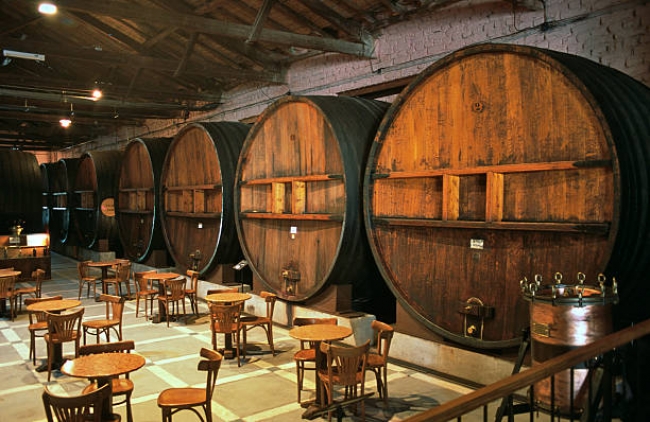 Termas y Bodegas 2025