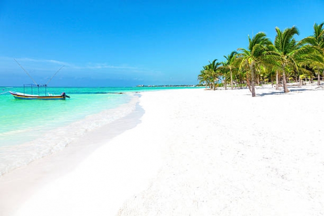 Yucatan Magico EN PRIVADO 2024 - 2025