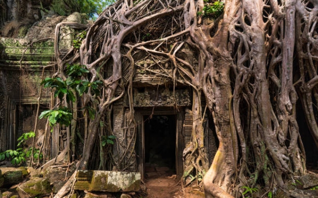 Camboya 2025 - 2026