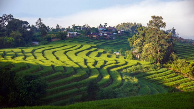 Tailandia al completo 2025