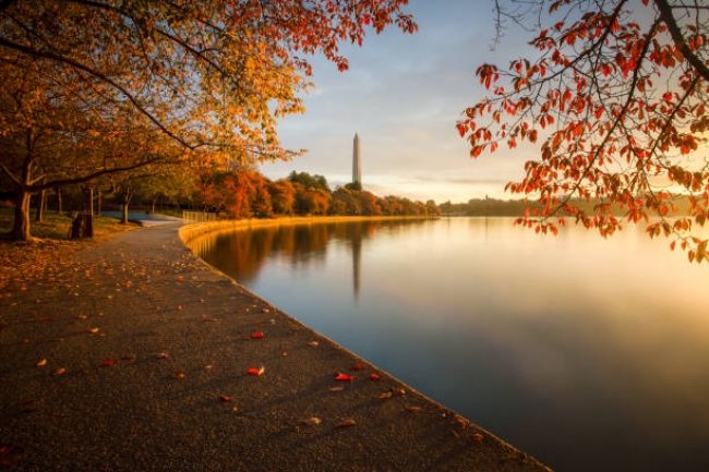 Mini Washington 2025
