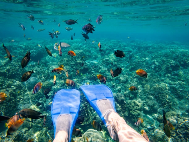 Bali y Gili Terawangan 2025