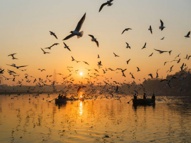 Extension 10 dias Triangulo de oro con Varanasi 2025