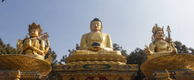La India Colorida con Nepal I - 2025