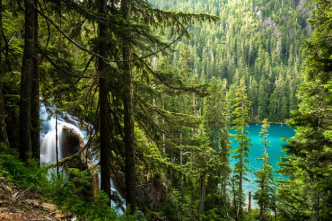  Whistler Espectacular 2025 -2026
