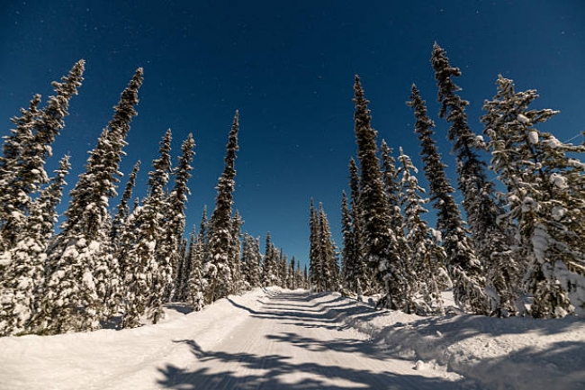 Auroras Boreales Vancouver - Whistler 2025 - 2026