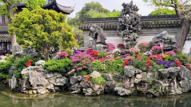 GRAN CLASE: Shanghai Solo 2026 - 2027