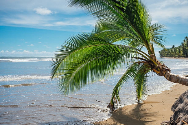 Bellezas de Costa Rica 2026 