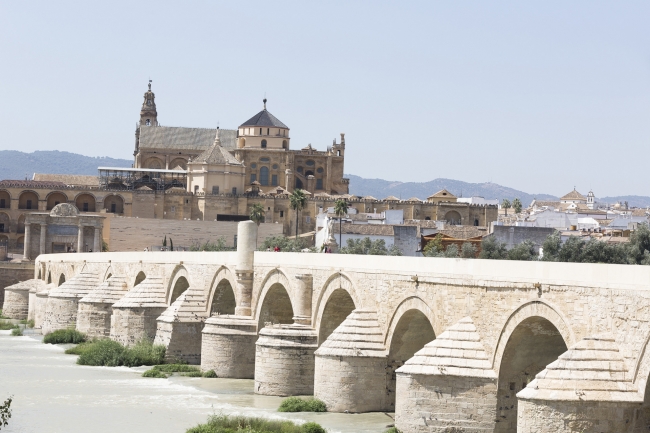 ANDALUCA CON CRDOBA, COSTA DEL SOL Y TOLEDO 6 Das
