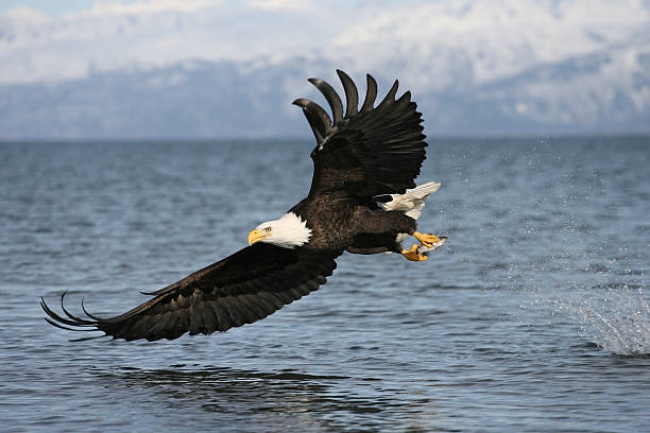 Canad�: Vancouver y Crucero Alaska 2026