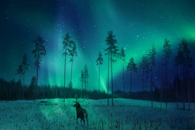 GRAN CLASE: Vancouver y  Auroras Boreales 2026 -2027