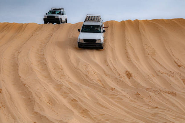 Delicias de T�nez 4x4 - 2026