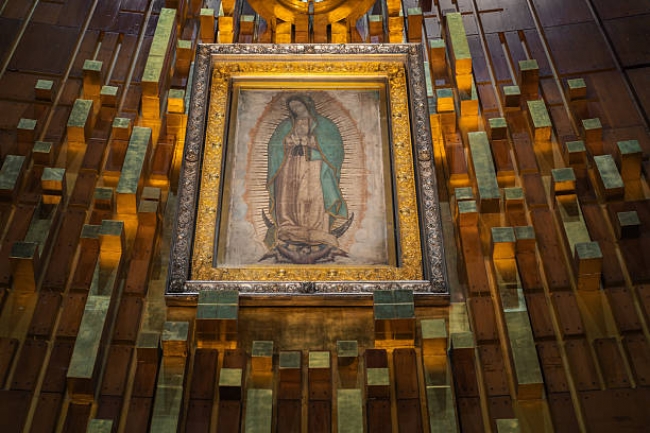 Peregrinaci�n Bas�lica de Guadalupe 2026